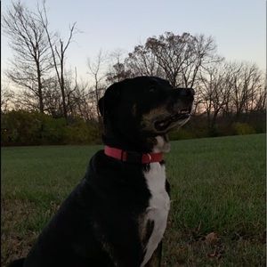 Meet your Posher, Jayana